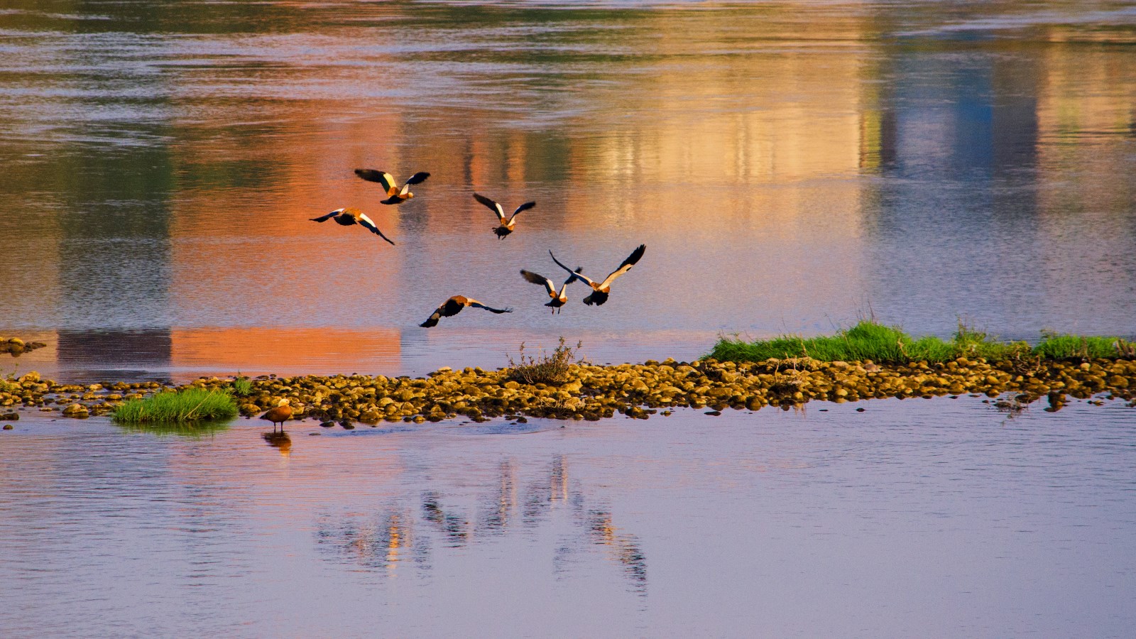 阳艳-《起舞弄清影》-18882004537DSC_7468-2.jpg