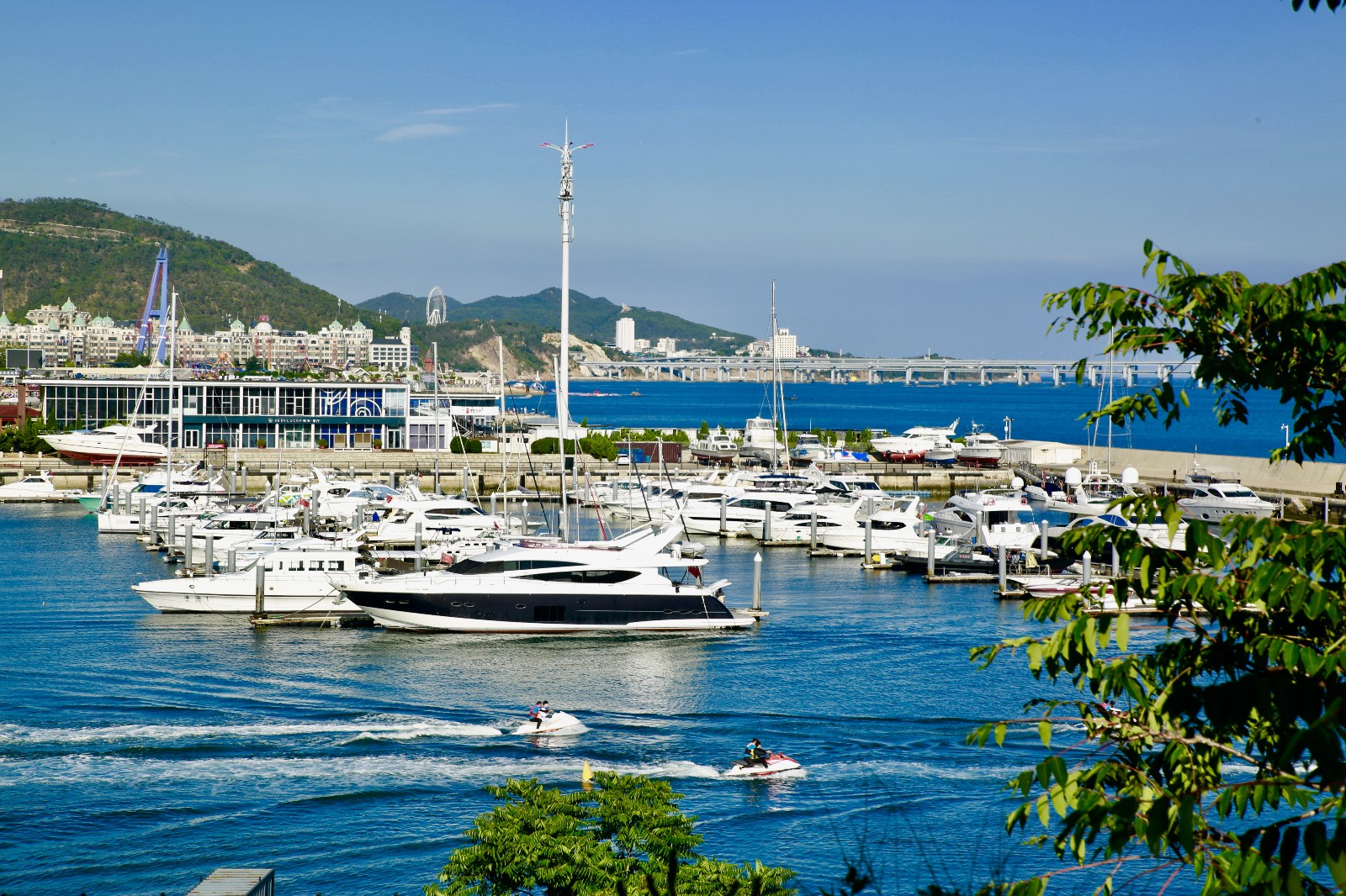 盛夏海湾.jpg