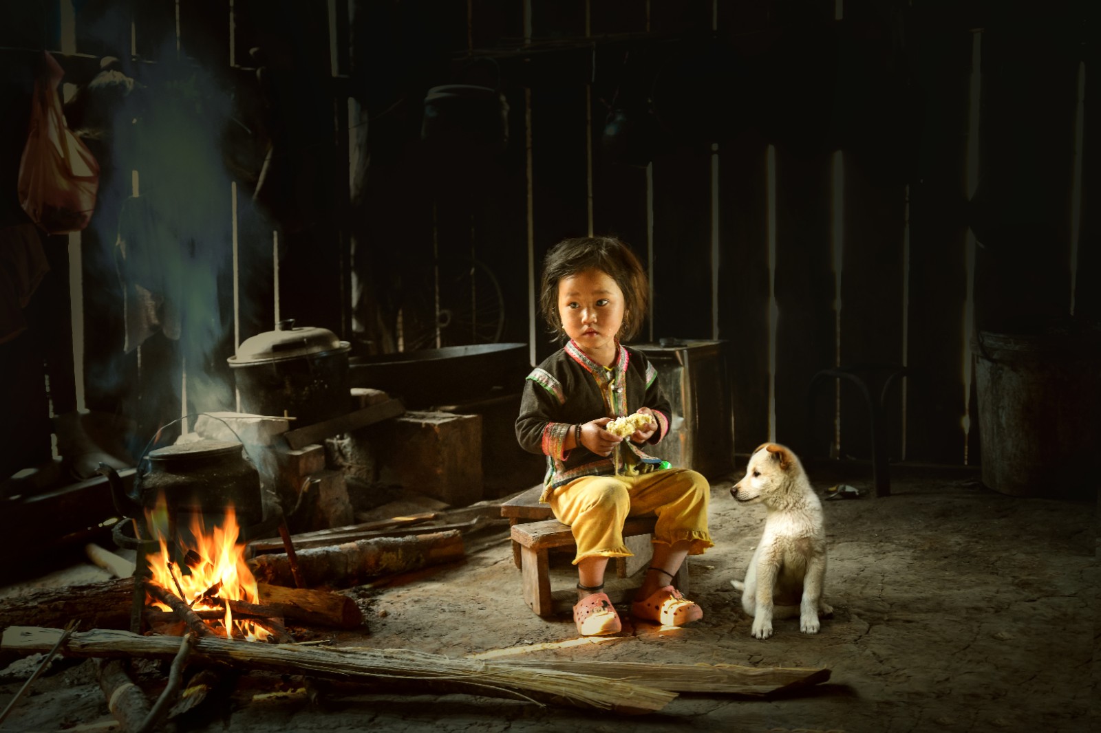 第九届土耳其阿尔贝拉国际摄影大赛铜奖《女孩与狗》.jpg